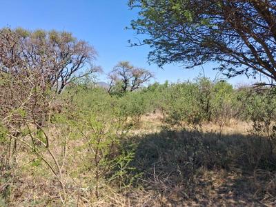 Vacant Land / Plot For Sale in Kwaggasvlakte A H, Thabazimbi